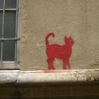 Red Cat on the Wall