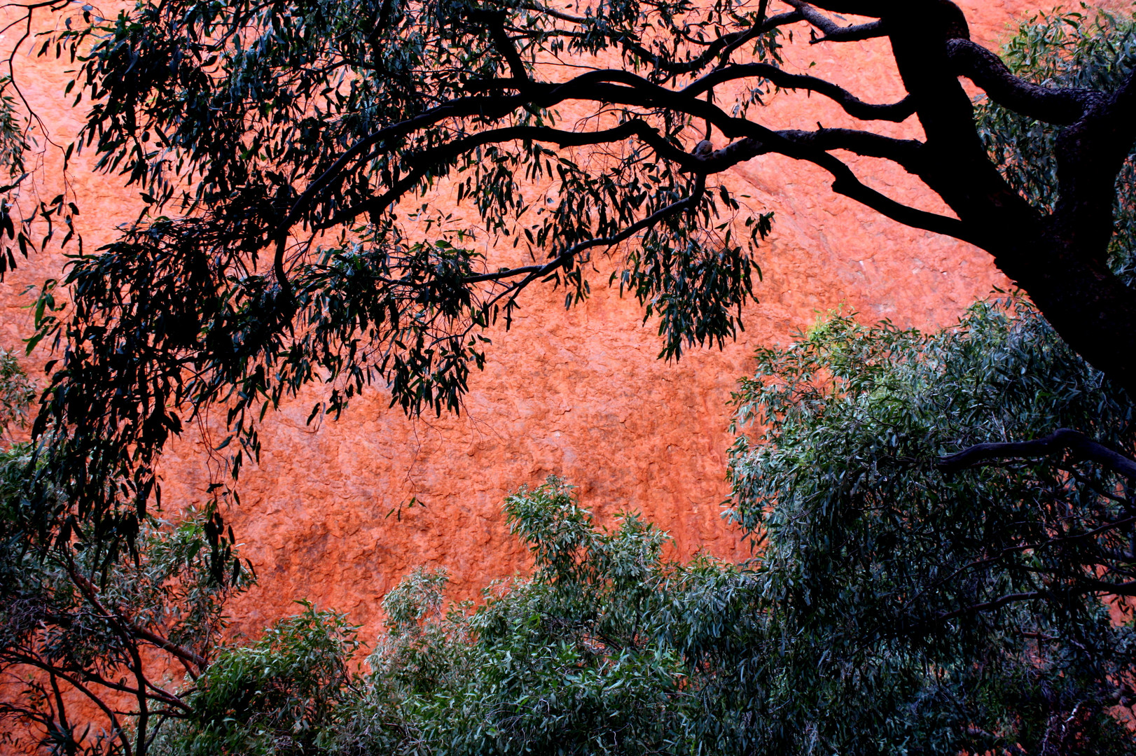 Red Centre