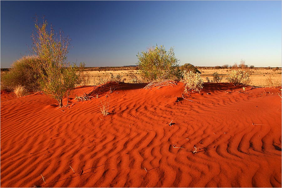 Red Centre 2 Foto & Bild australia & oceania, australia, northern