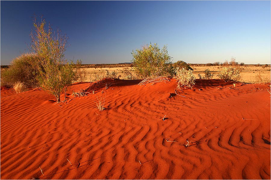 Red Centre 2