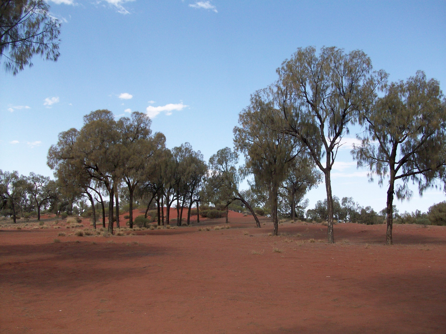 Red Centre, Nähe Kata Tujas/Australien