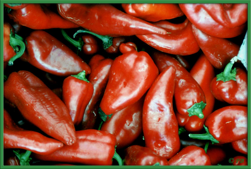 red chilli