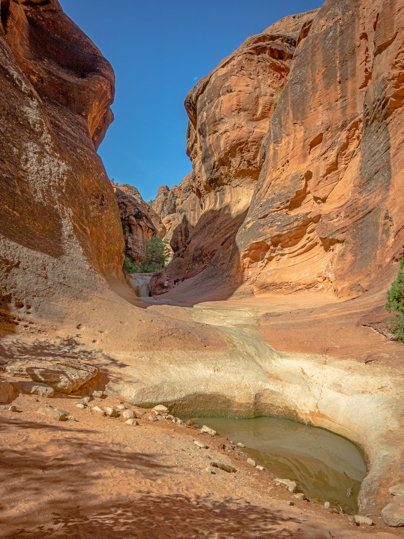 Red Cliff Trail