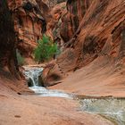 Red Cliffs