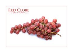 ~Red Clobe~