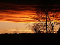 red cloud