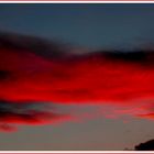 " Red Cloud "