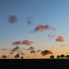 Red Clouds