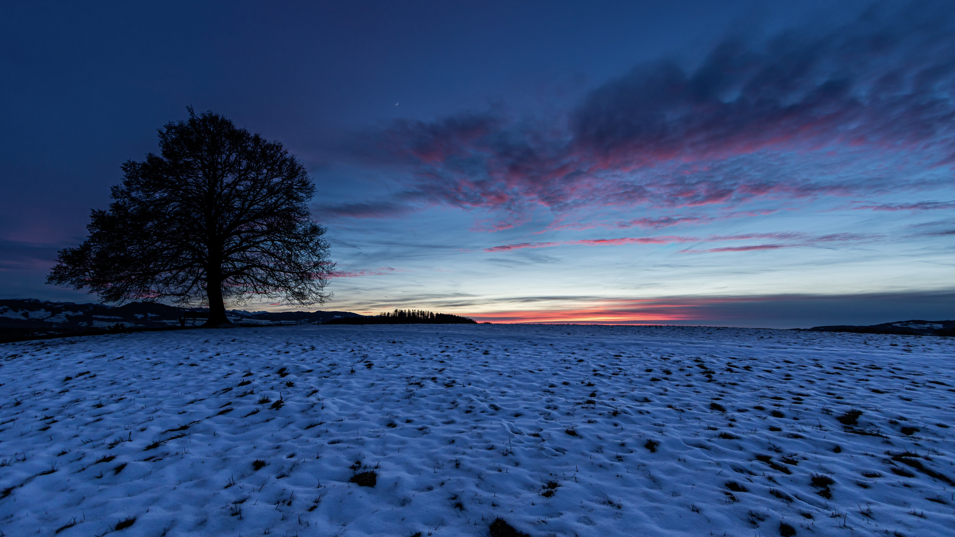 red clouds