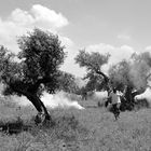 Red cresent society worker (in association with red cross international) runs from teargas