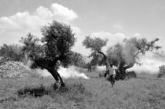 Red cresent society worker (in association with red cross international) runs from teargas