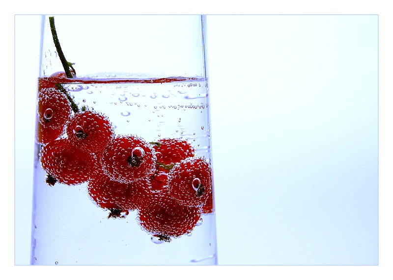 [red currant]