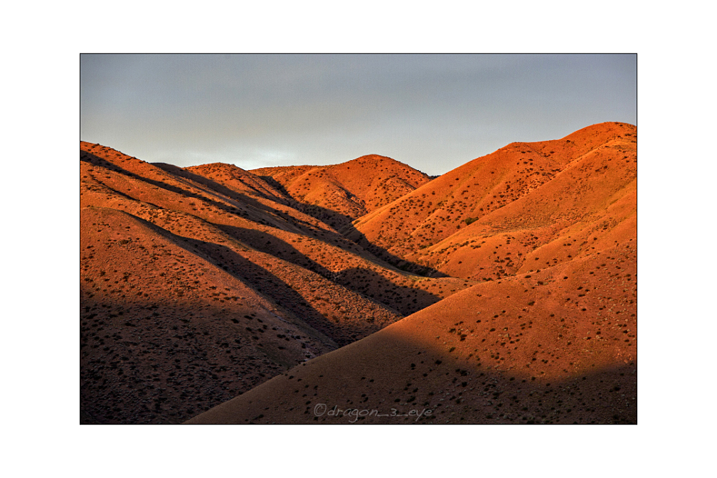 Red Desert 