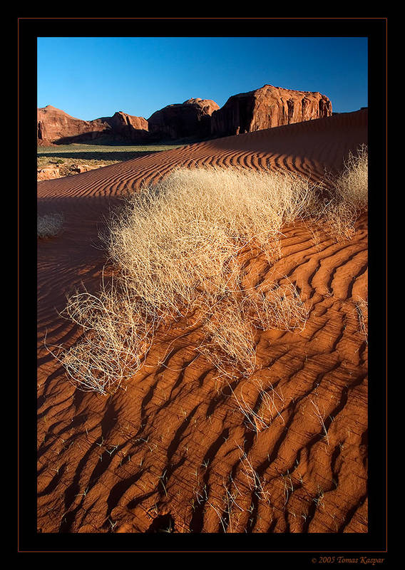 Red desert