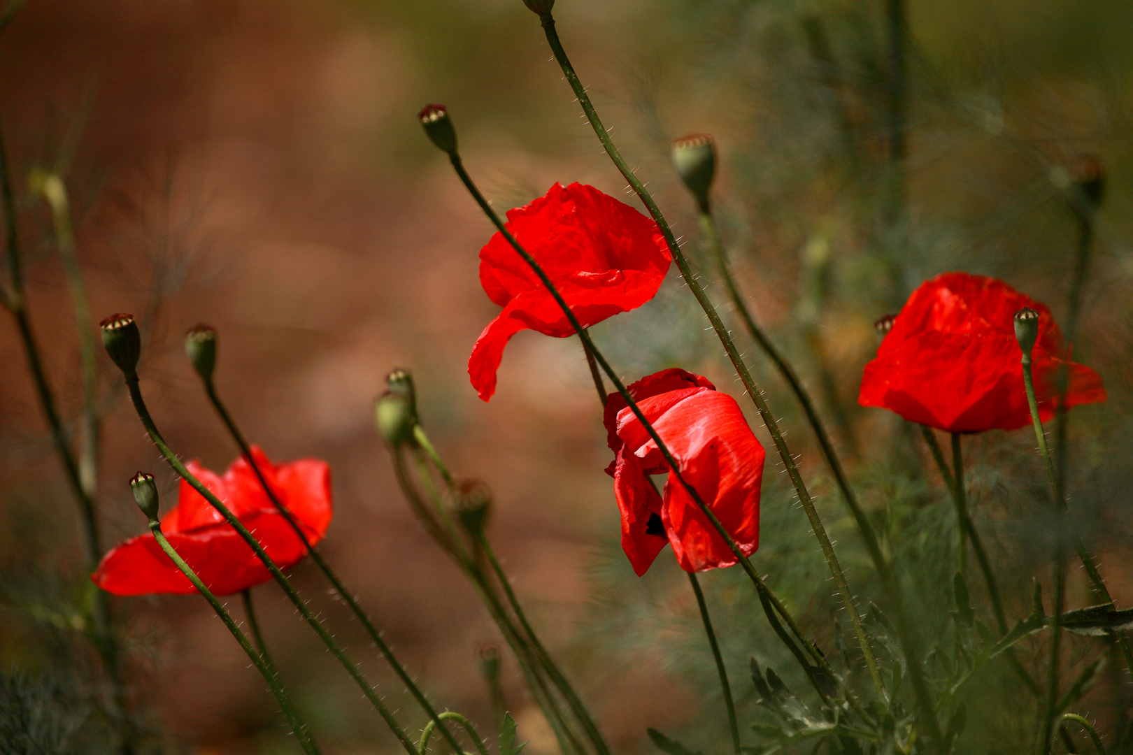 red