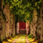 Red Door