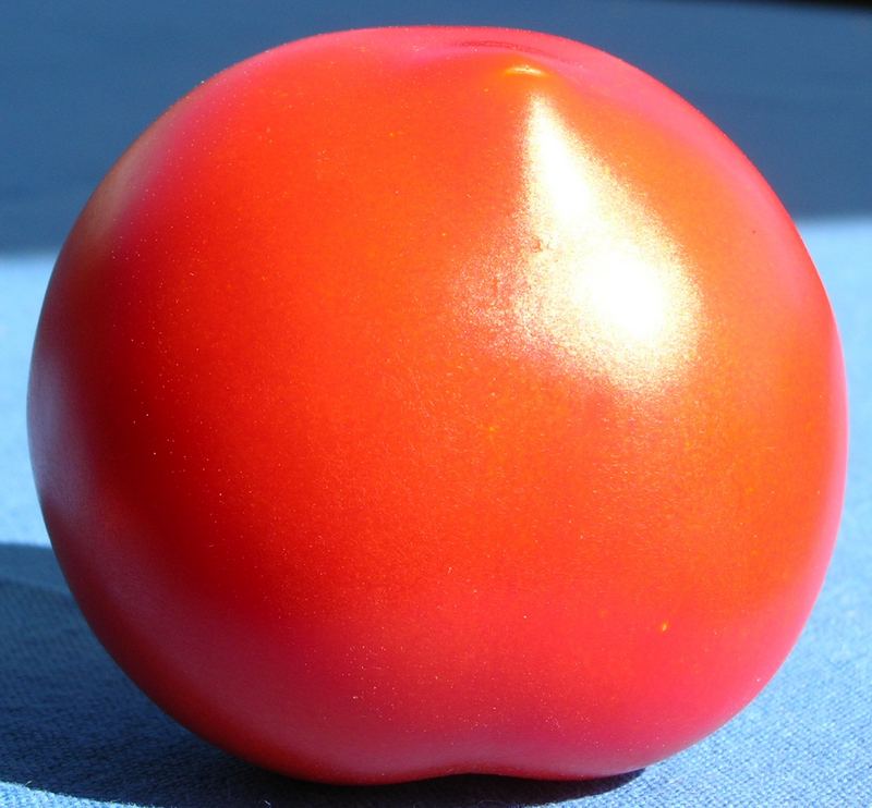 "Red Dot" - ich liebe Tomaten