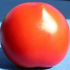 "Red Dot" - ich liebe Tomaten