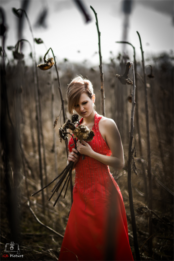 Red Dress 2