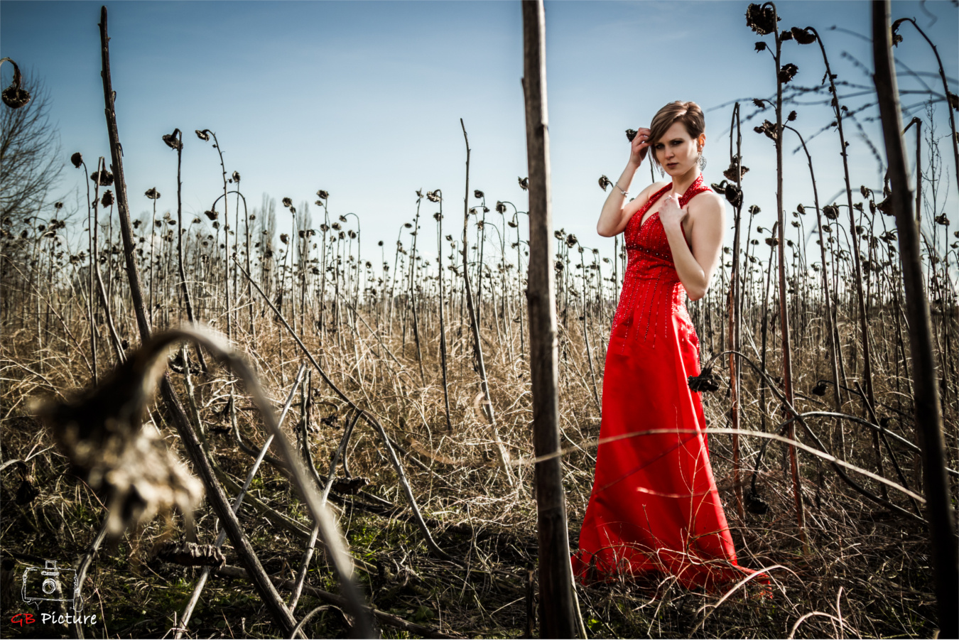 Red Dress 4