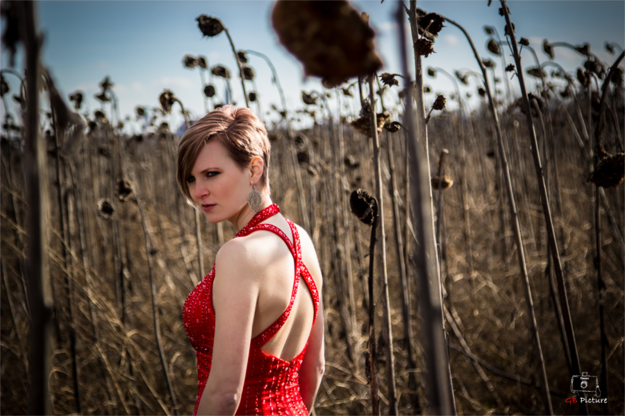 Red Dress 5