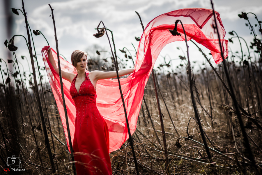 Red Dress 6