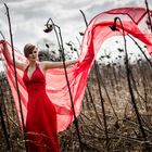 Red Dress 6