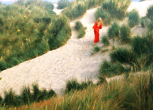 Red dress