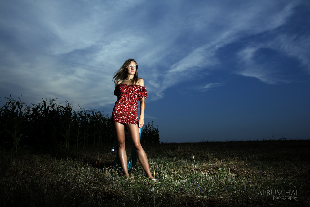 red dress in the field - (shot 2459)