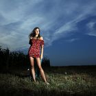 red dress in the field - (shot 2459)