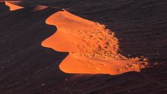 red dunes