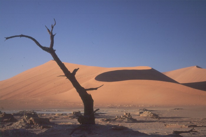 red dunes