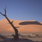 red dunes