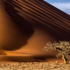 Red Dunes at Sossusvlei