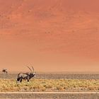Red Dunes der Namib