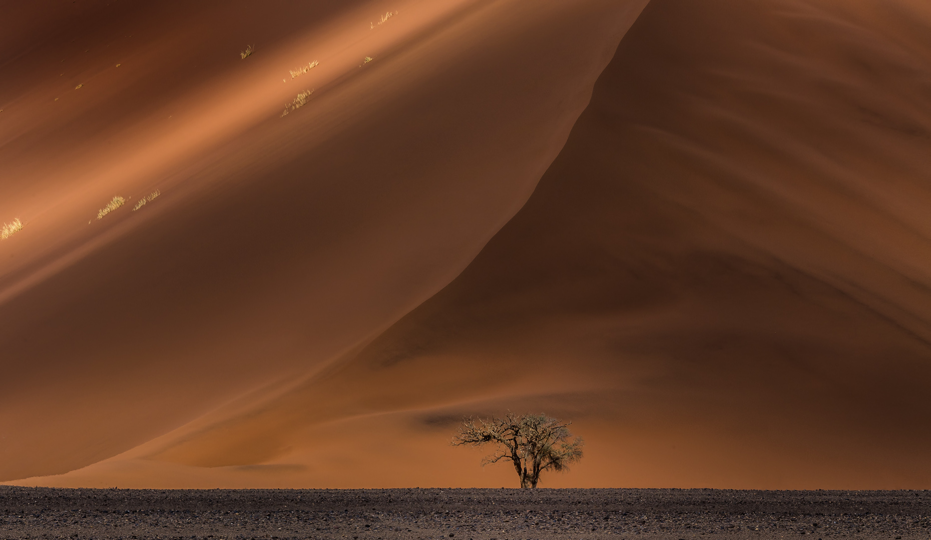 Red Dunes near Sossusvlei, Namibia