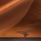 Red Dunes near Sossusvlei, Namibia