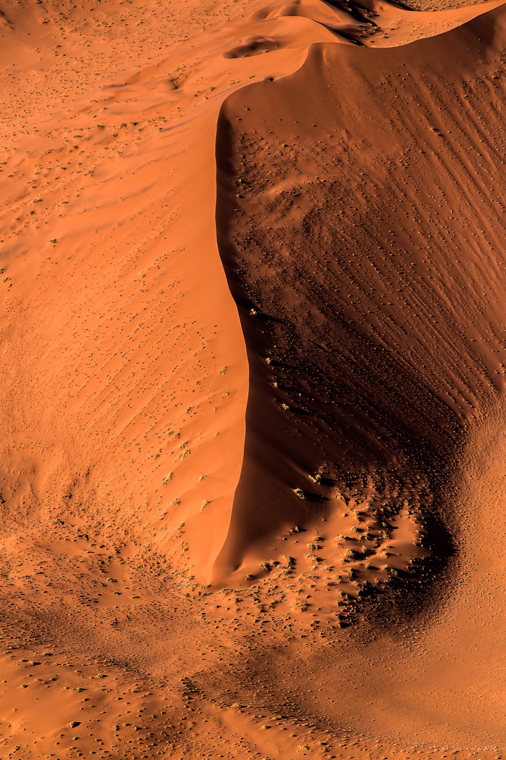 Red Dunes of the Namib