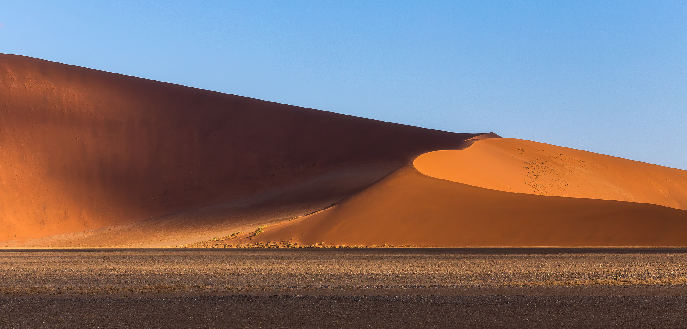 Red Dunes of the Namib (Tsauchab Valley, Namibia)