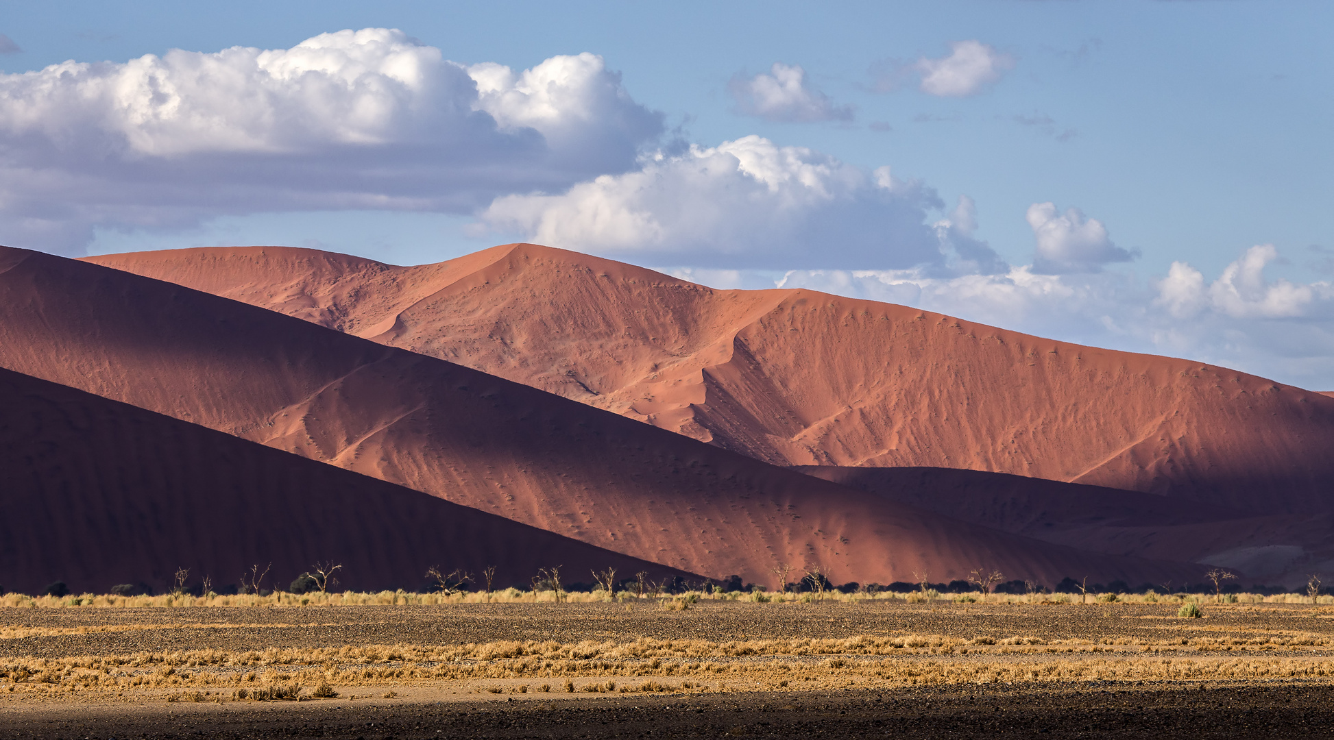 Red Dunes of the Namib with clouds.