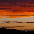 Red Evening