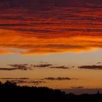 Red Evening