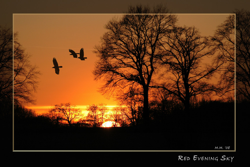 Red Evening Sky