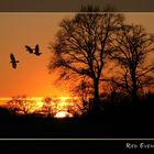 Red Evening Sky