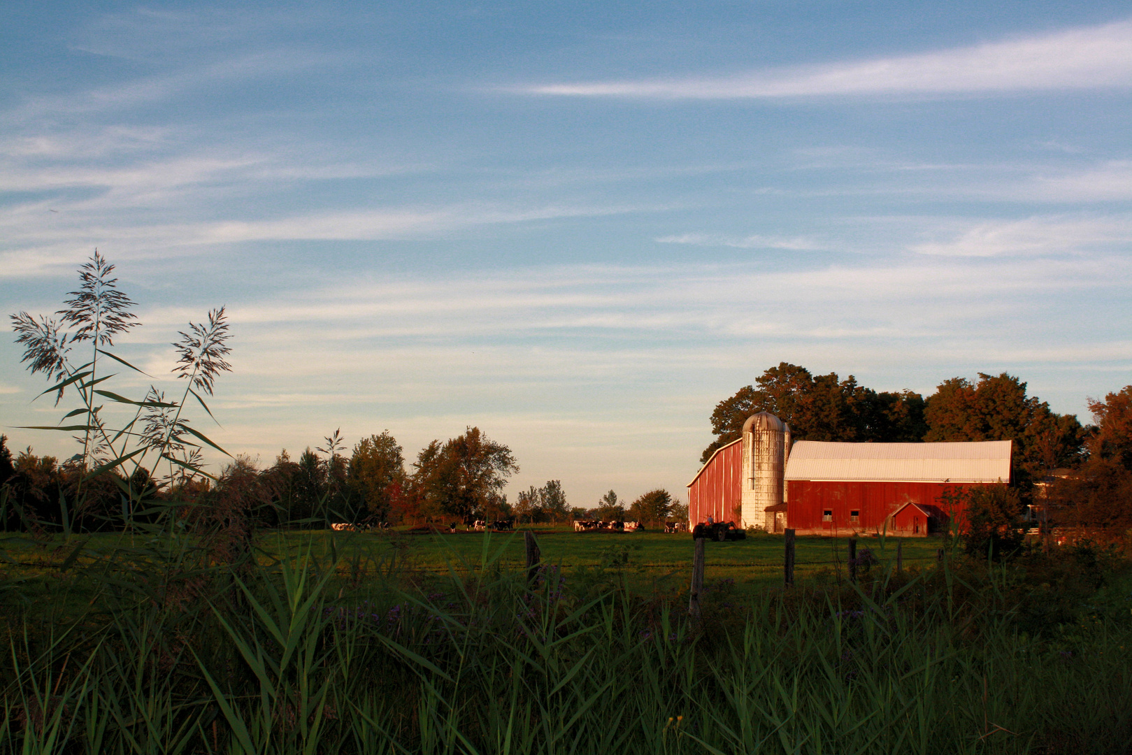 Red Farm in Empire State