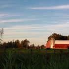 Red Farm in Empire State