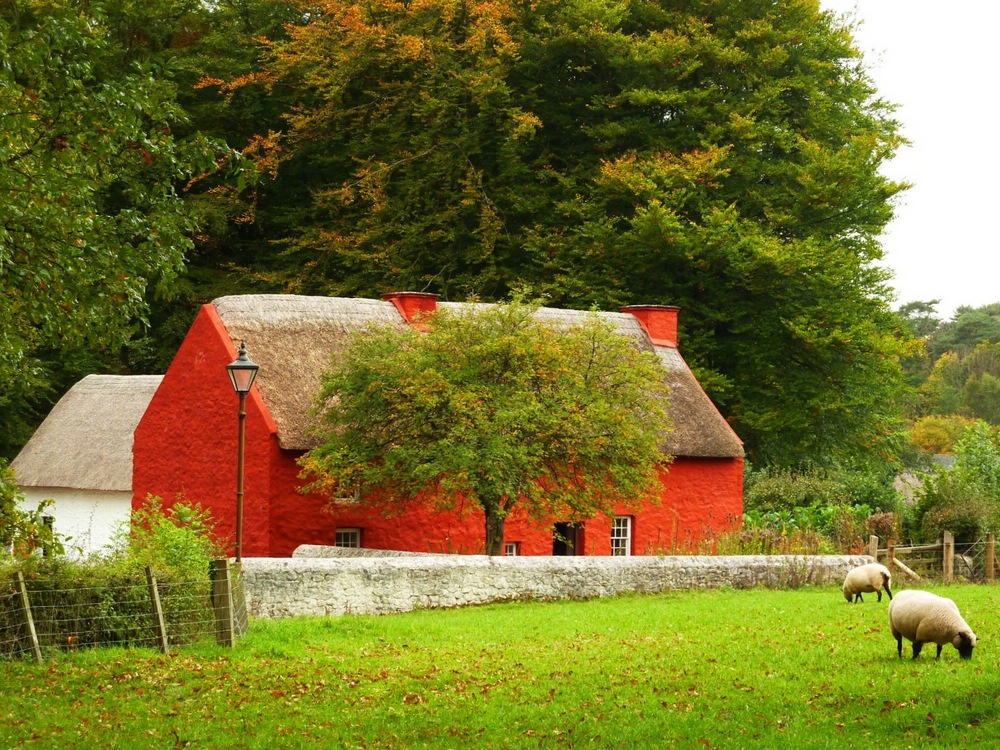 Red farmhouse in autumn