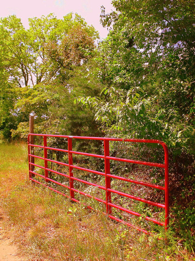 Red Fence