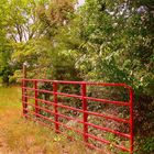 Red Fence