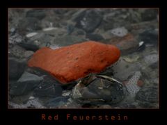 Red Feuerstein
